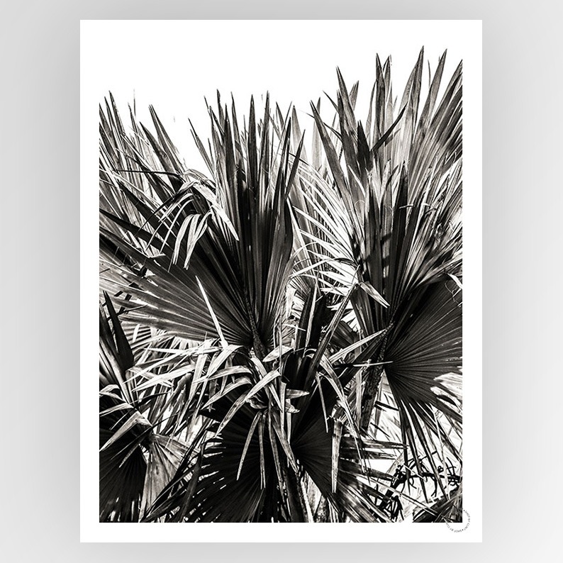 Photograph titled "Shot by Clint Ifafa 01" by Fotografiks, featuring a striking visual composition on a consignment photograph.