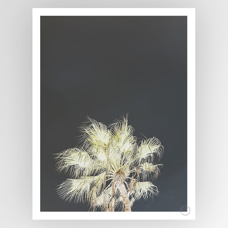 Photograph titled "Shot by Clint Robusta" by Fotografiks, featuring a creative consignment art piece with abstract textures.