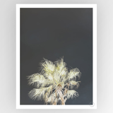 Photograph titled "Shot by Clint Robusta" by Fotografiks, featuring a creative consignment art piece with abstract textures.