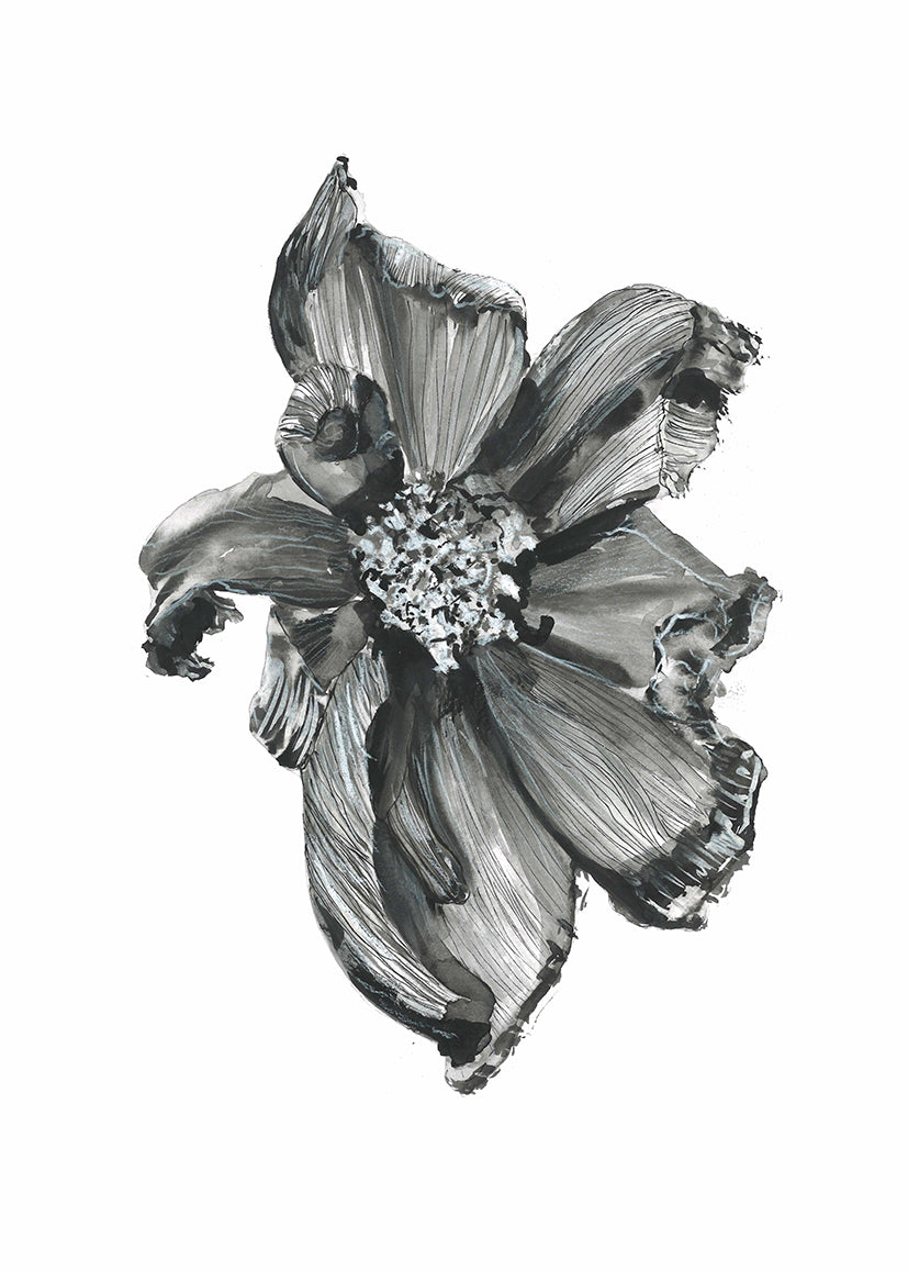 Bloom 1 Art Print - Shop Adele Catherine 