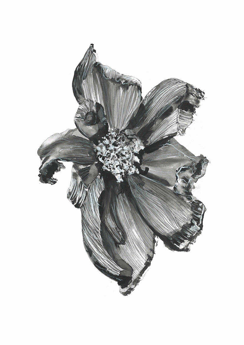 Bloom 1 Art Print - Shop Adele Catherine 
