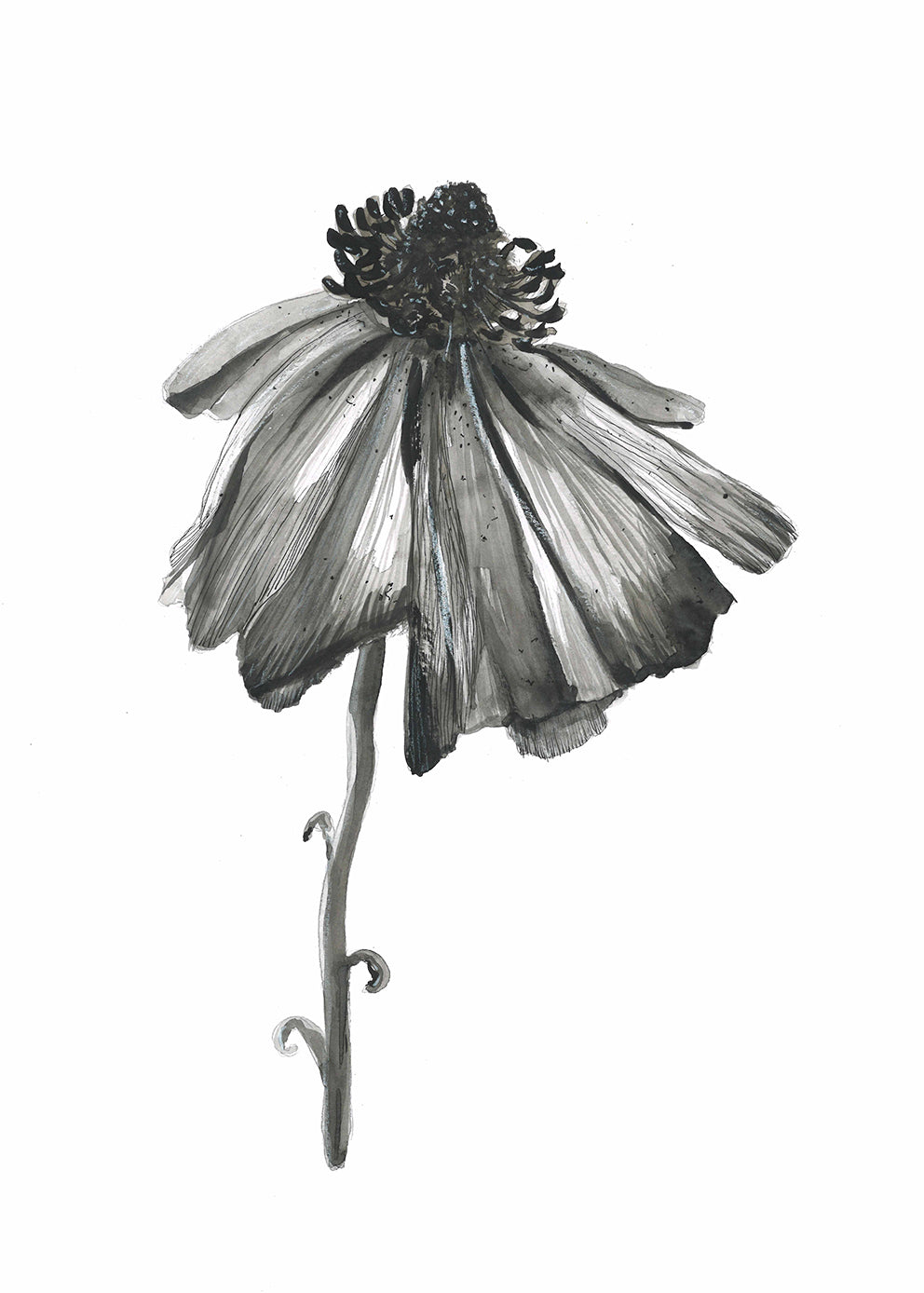 Bloom 2 Art Print - Shop Adele Catherine 