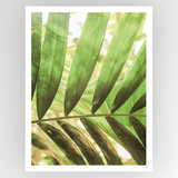 Photografiks Shot by Clint Village Jungle consignment art print featuring vibrant jungle scene with lush greenery and detailed foliage.