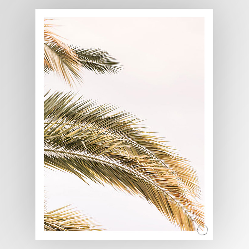 Photografiks Shot by Clint Oasis Palm consignment artwork, featuring a vibrant Oasis Palm scene with detailed textures and lush greenery.