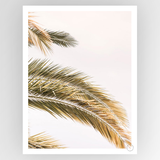 Photografiks Shot by Clint Oasis Palm consignment artwork, featuring a vibrant Oasis Palm scene with detailed textures and lush greenery.