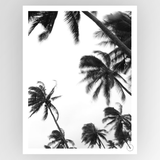 Shot by Clint Coco Island 04