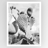 Shot by Clint Cacti Cowboy 01 - Shop Adele Catherine 